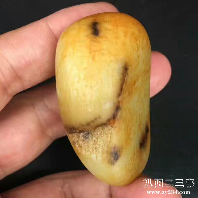 QQ图片20170515183627.jpg