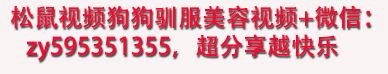 松鼠联系方式.JPG