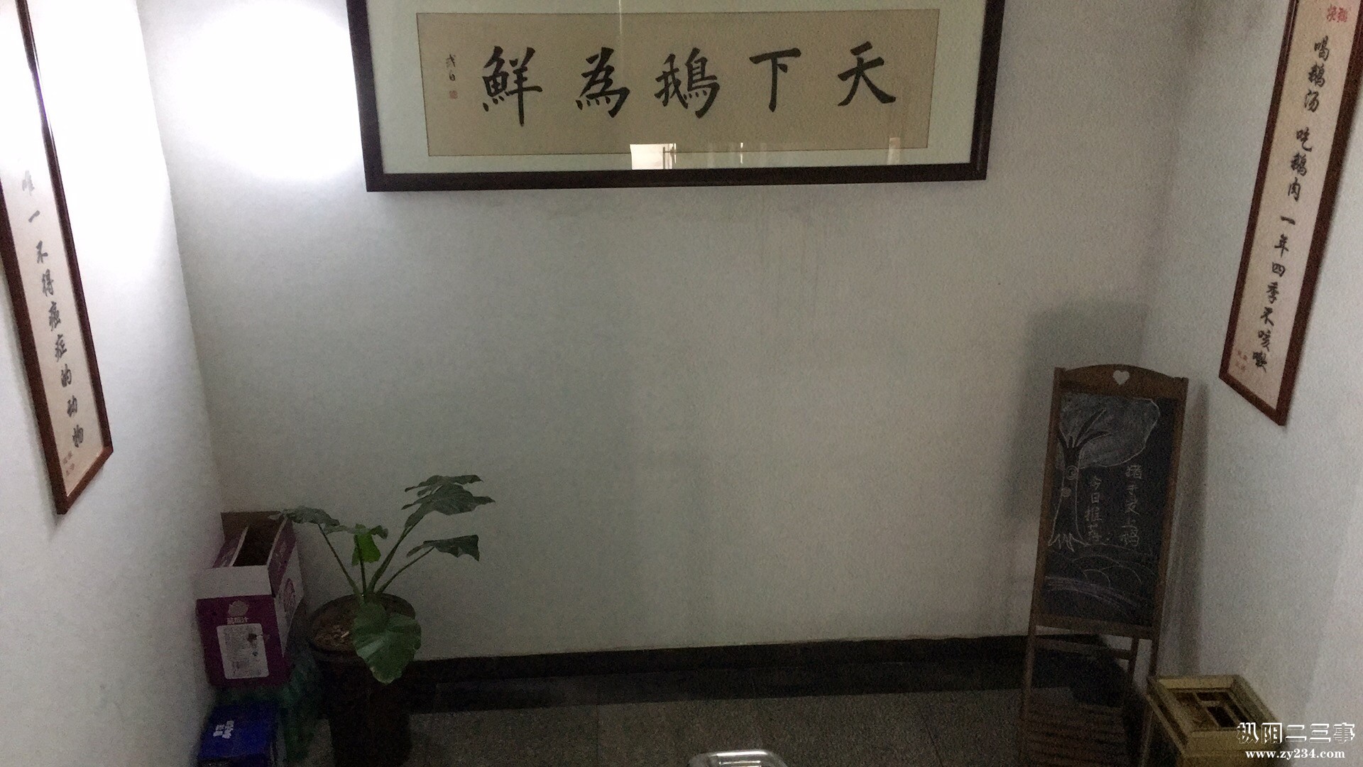 天下鹅为鲜