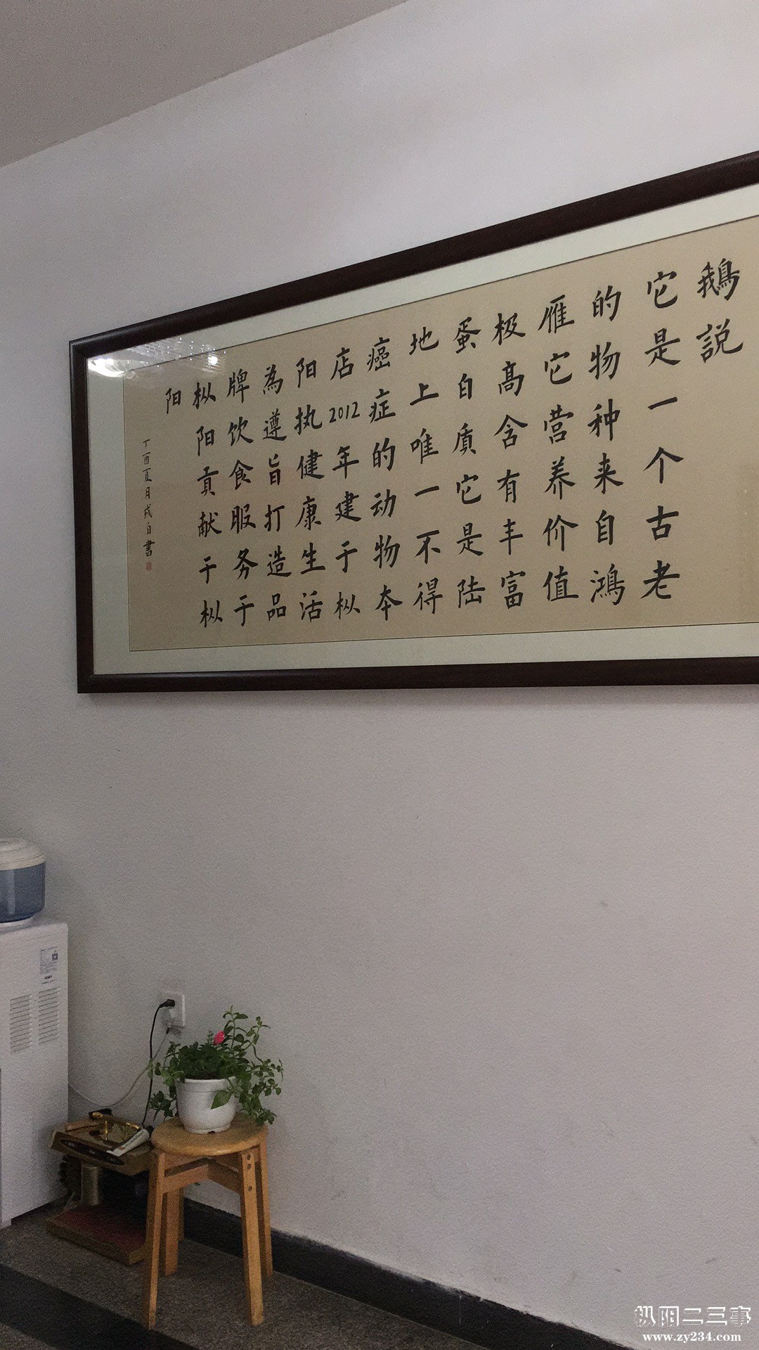 简介