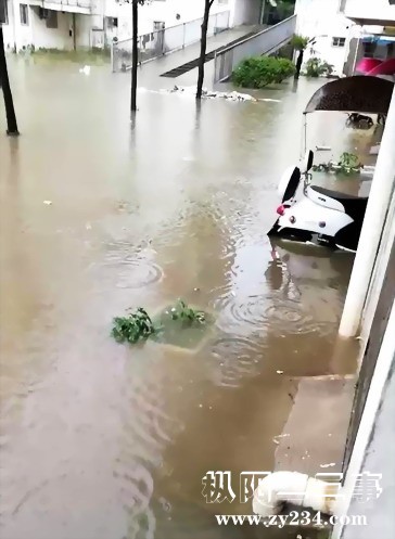 去年今日此门前，水面浪花映愁容，今年今日七月初，又见风雨又见涝。.jpg