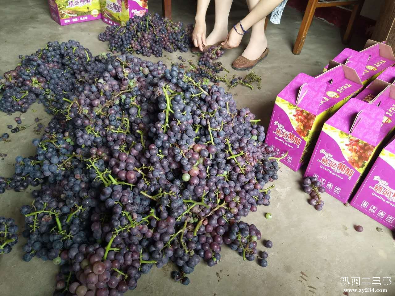 微信图片_20170709101116.jpg