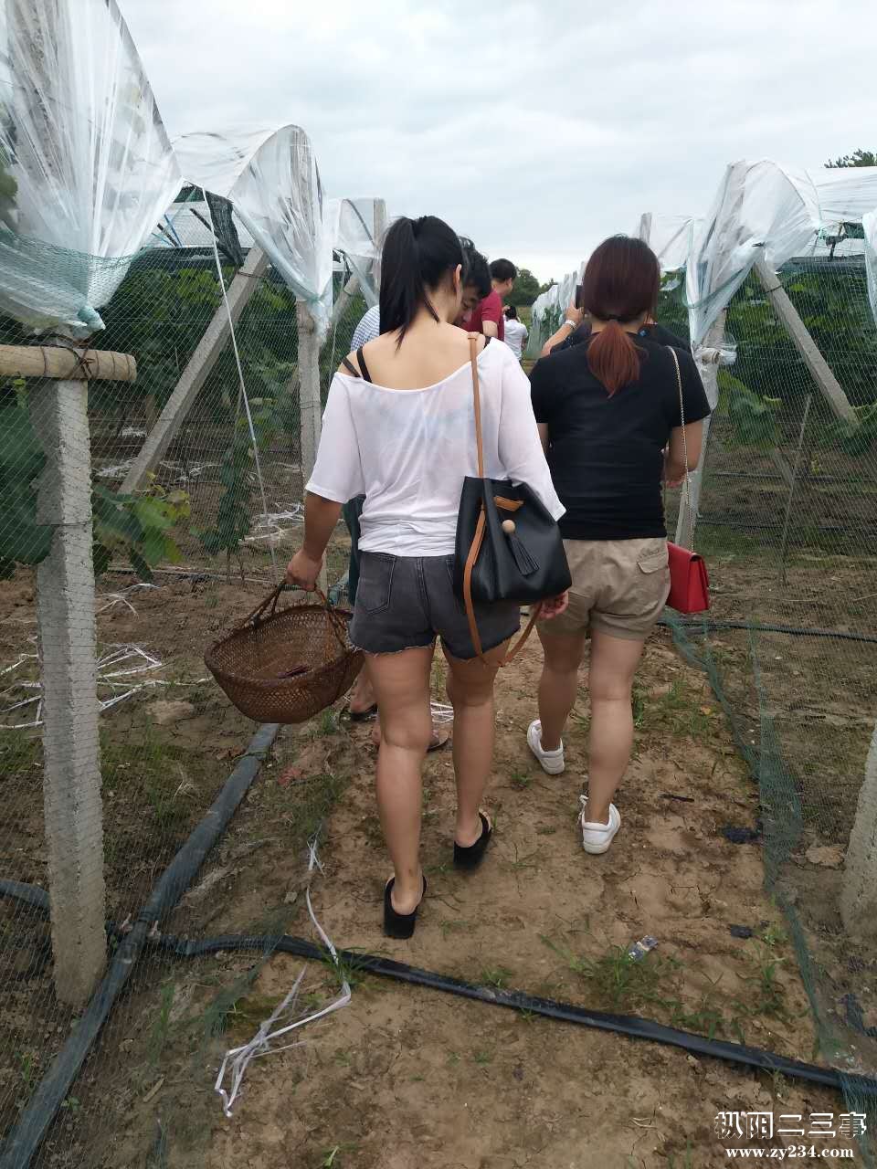 微信图片_20170709101138.jpg