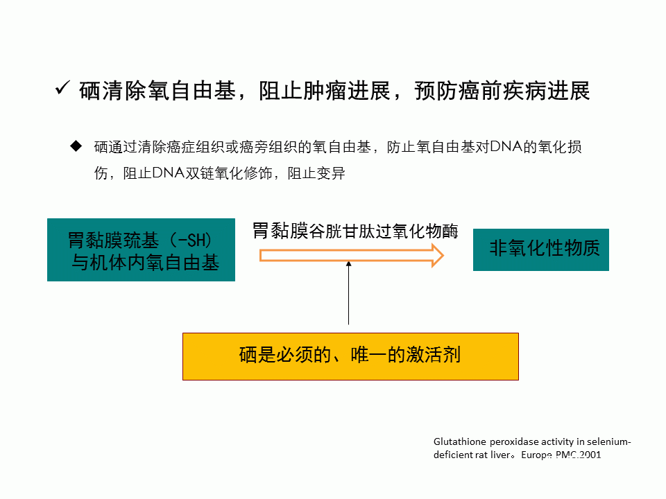 幻灯片5.GIF