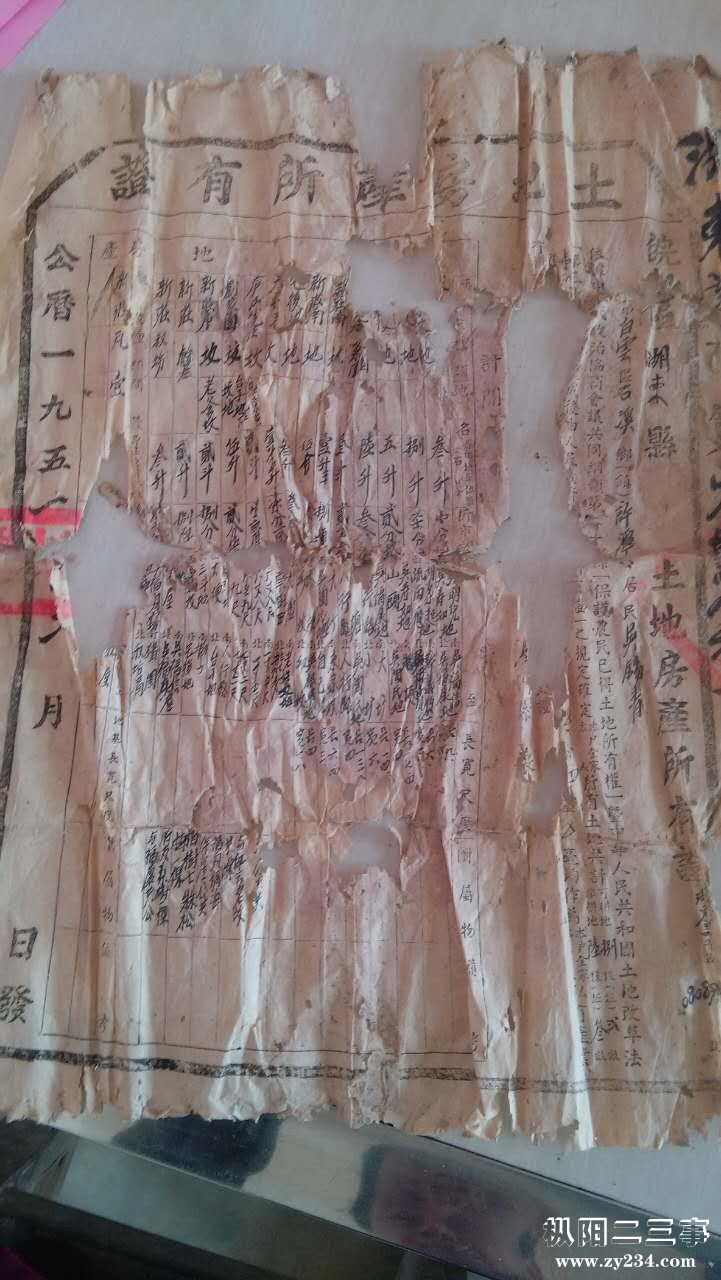 1951年湖东县白云区石溪乡土地证.jpg