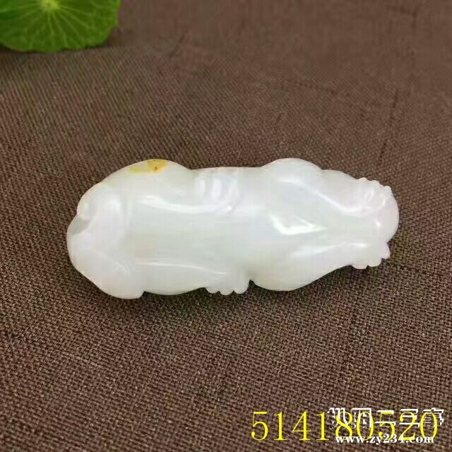 QQ图片20170725160028.jpg