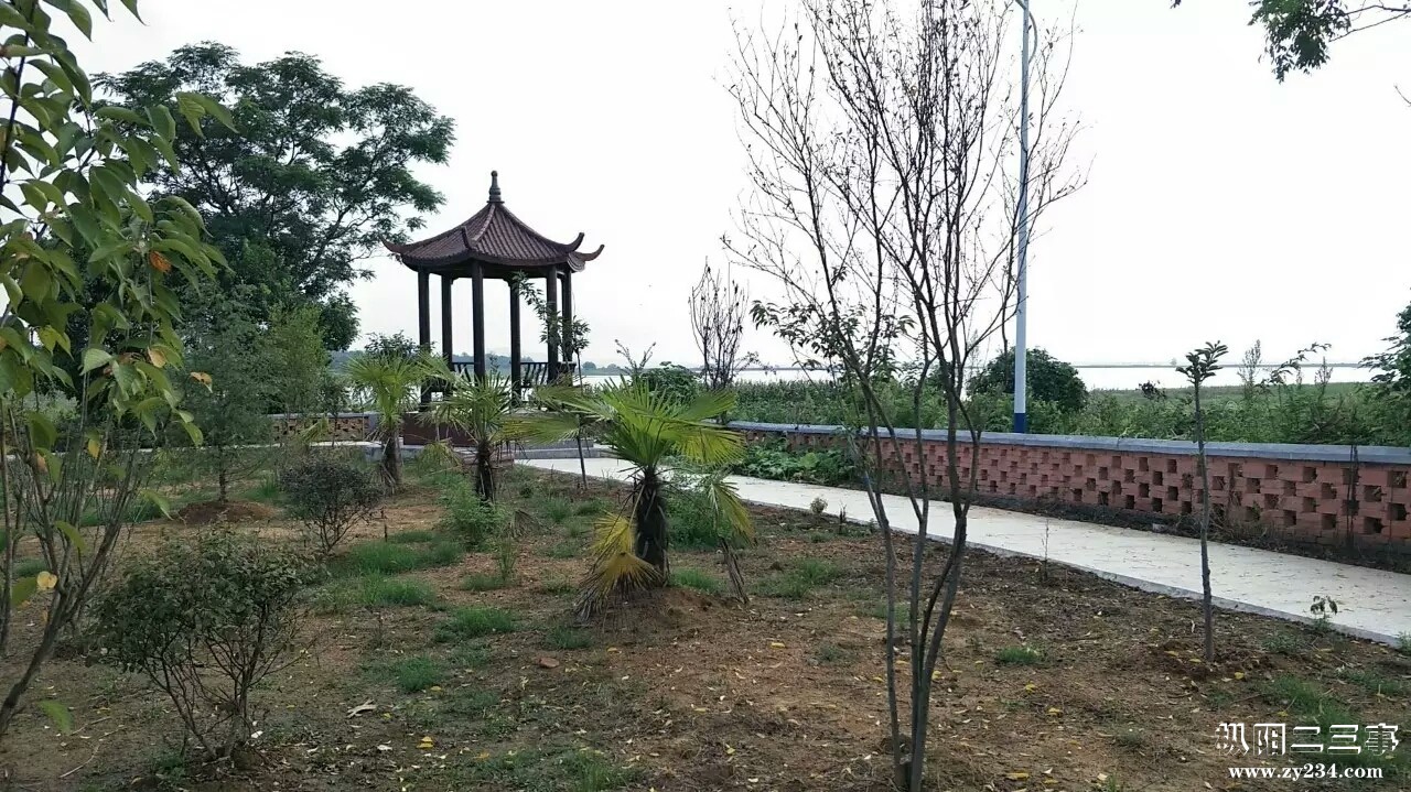 mmexport1502372904277.jpg