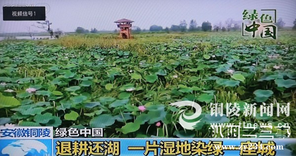 7427eae52f891afb2d3101.jpg