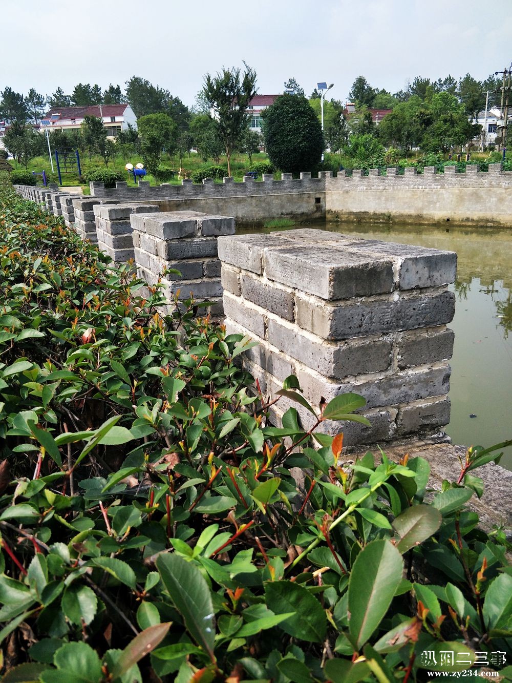 A02.jpg