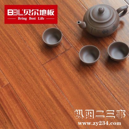 圆盘豆-浅1.jpg