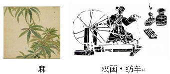 麻纺.jpg