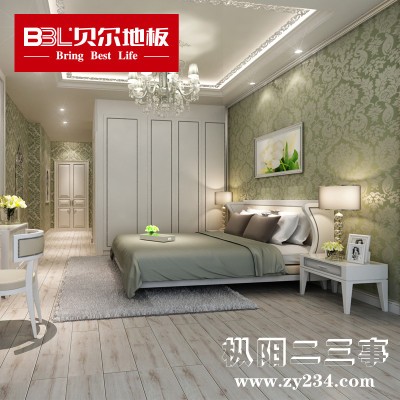 北美灰橡1.jpg