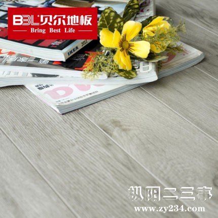 北美灰橡2.jpg