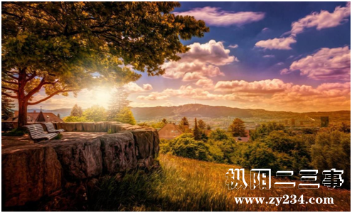图片225.png