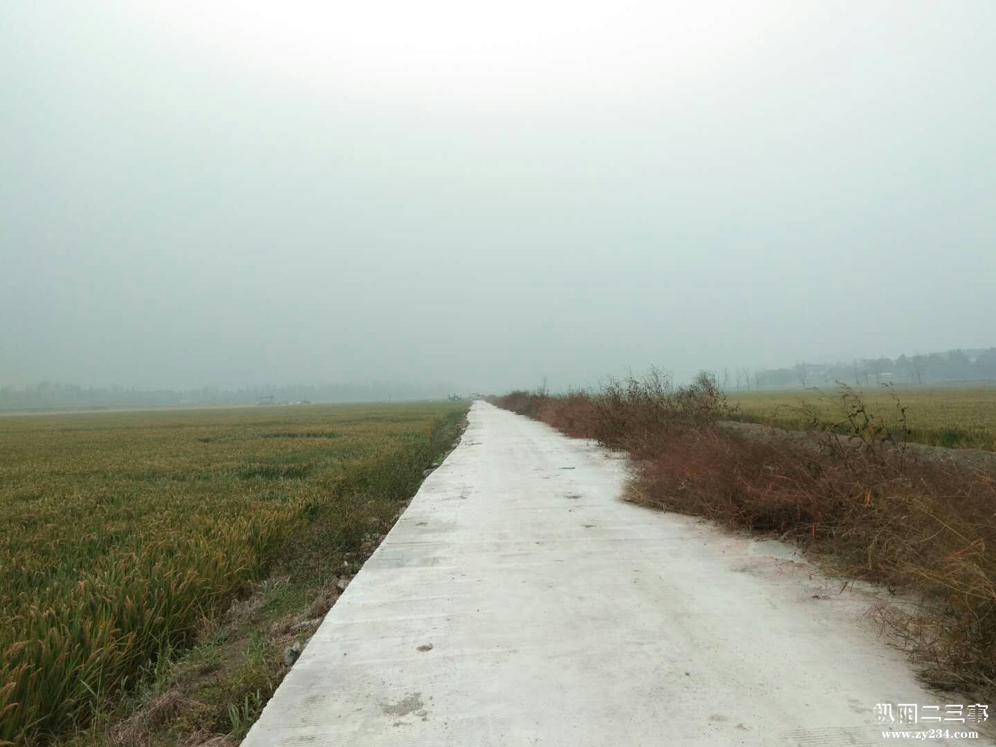 混合圩机耕路
