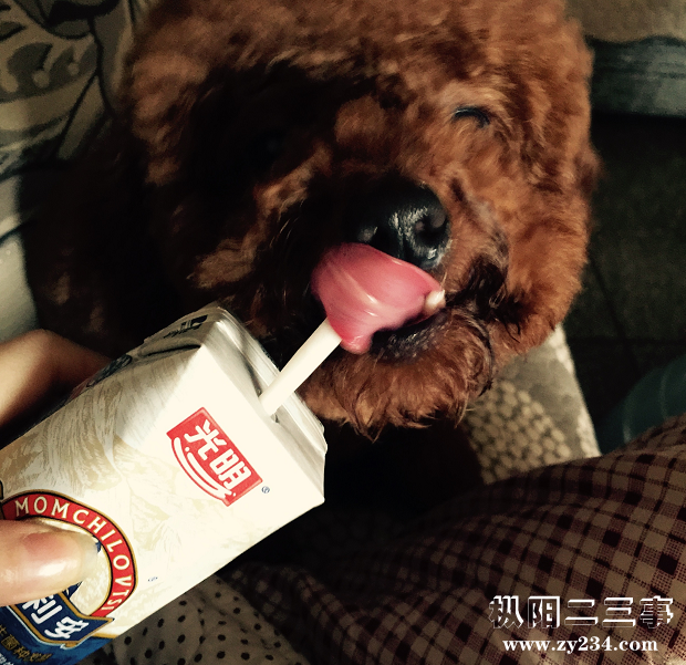 QQ截图20171010001238.png