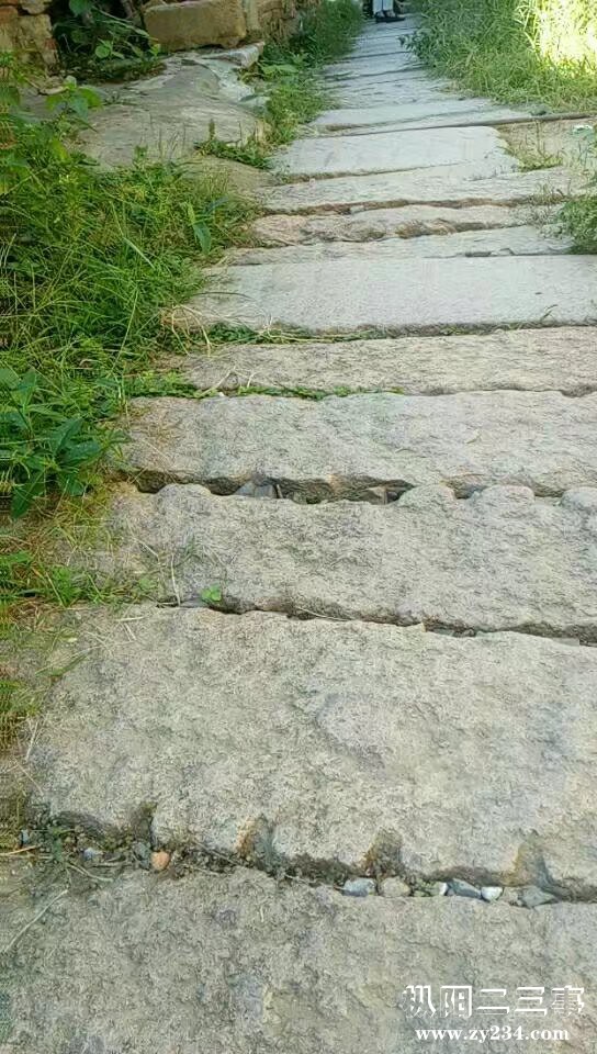 上码头老街道.jpg