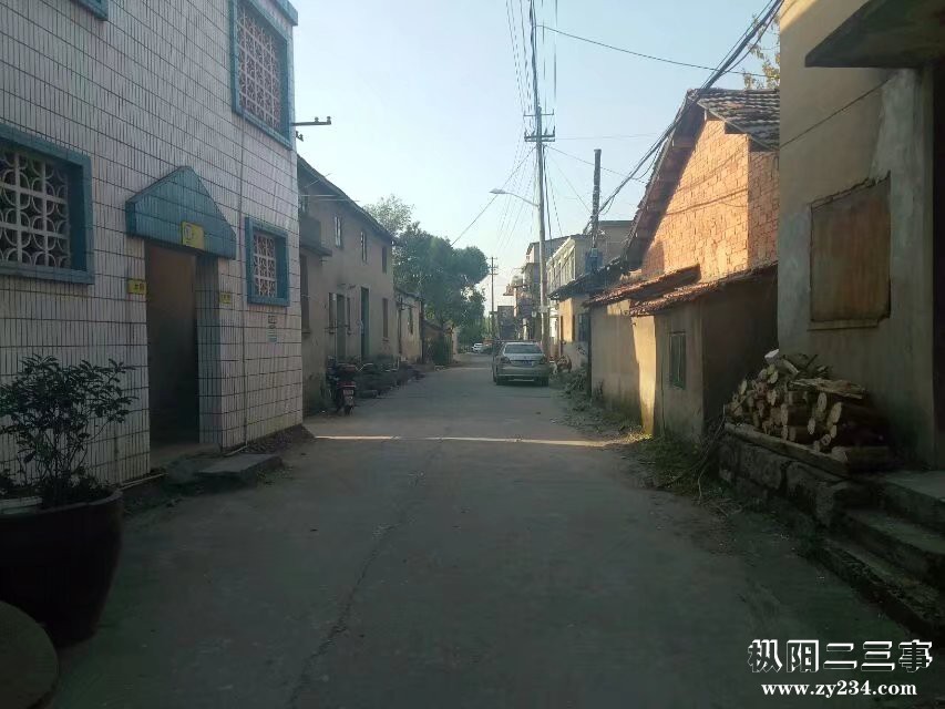 下枞阳轮船码头老街.jpg