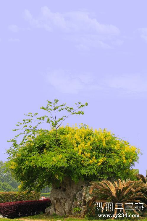 美丽风景2.jpg