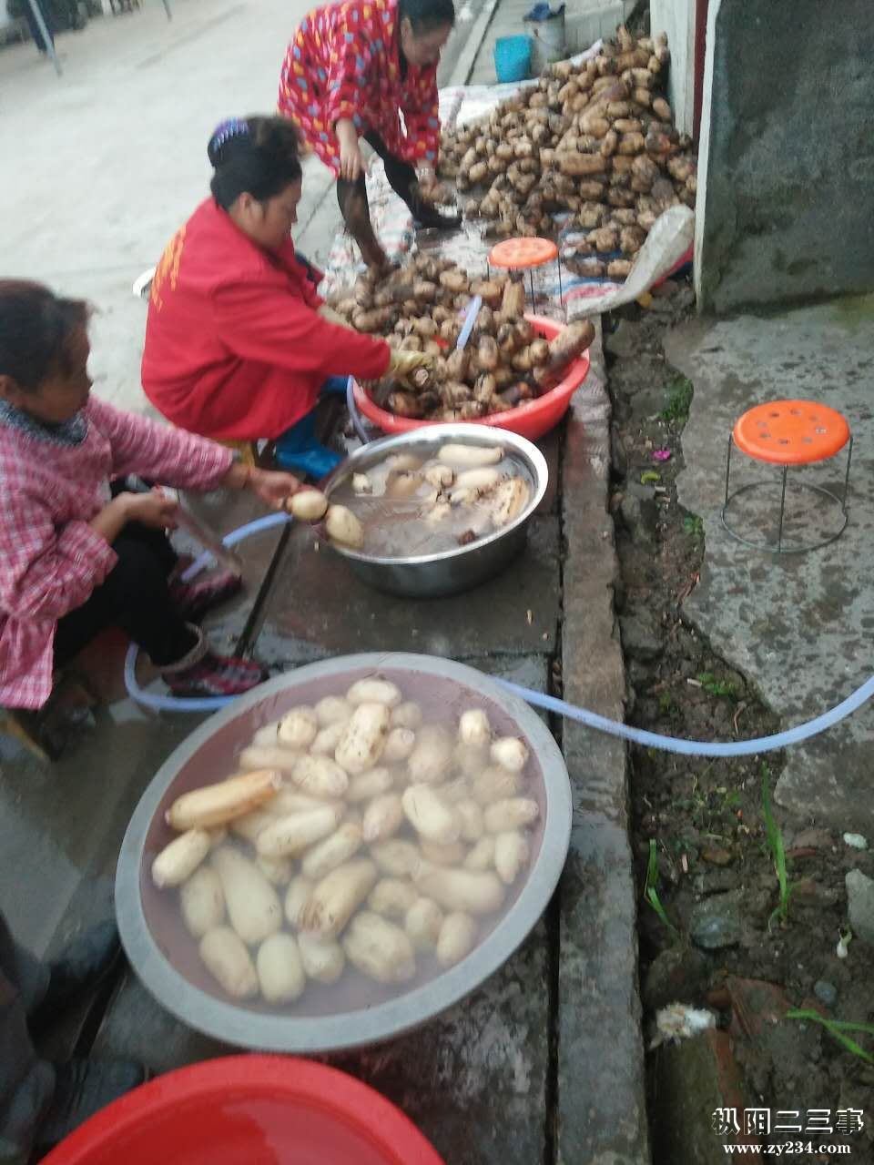 微信图片_20171204092056.jpg