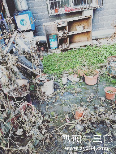 IMG20171220162318.jpg