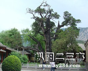 软112.png
