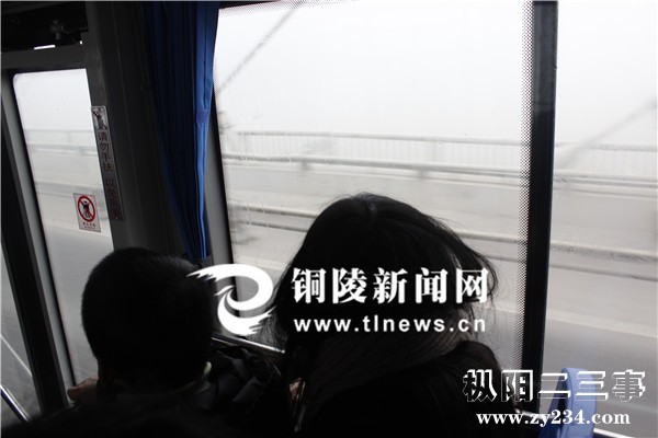 d4bed9e530951bcd2c0106.jpg