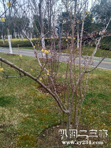 IMG_20180122_104203_HDR.jpg