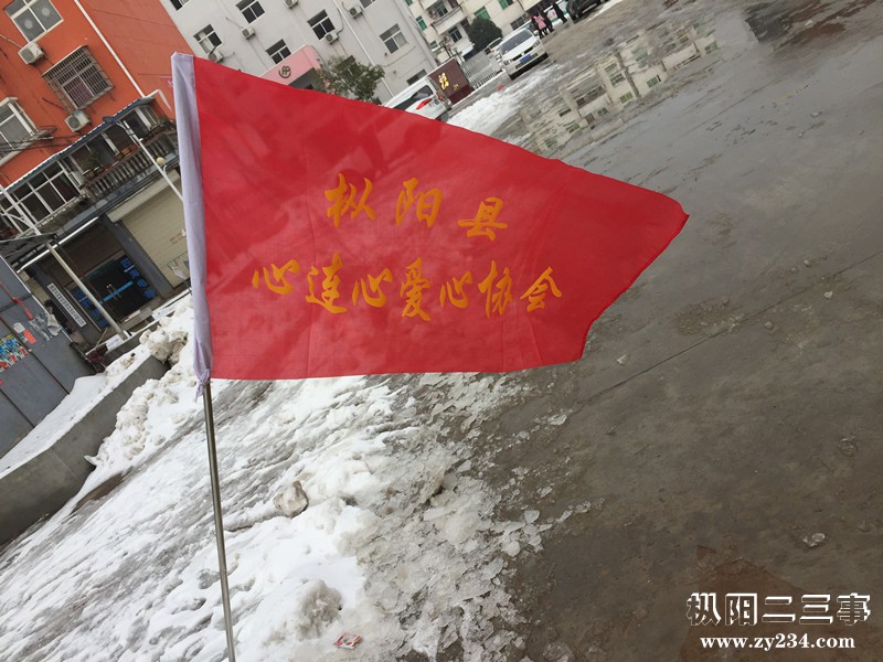 协会会旗在迎风飘扬
