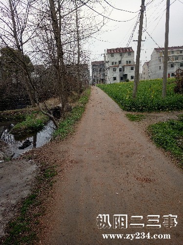 1520229158307.jpg