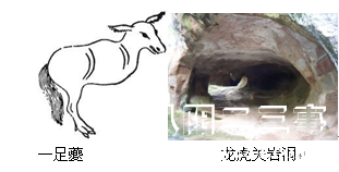 一足可尊