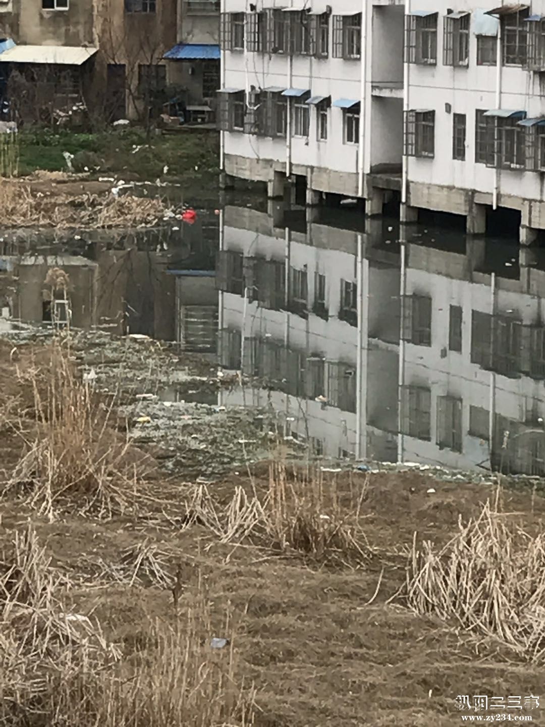 QQ图片20180314182037.jpg