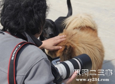 QQ图片20180324134617.jpg