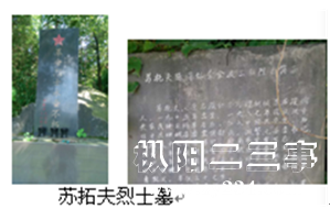 苏拓夫.png