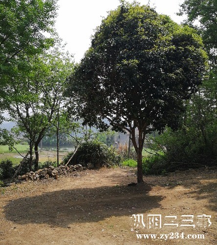 IMG_20180427_101849.jpg