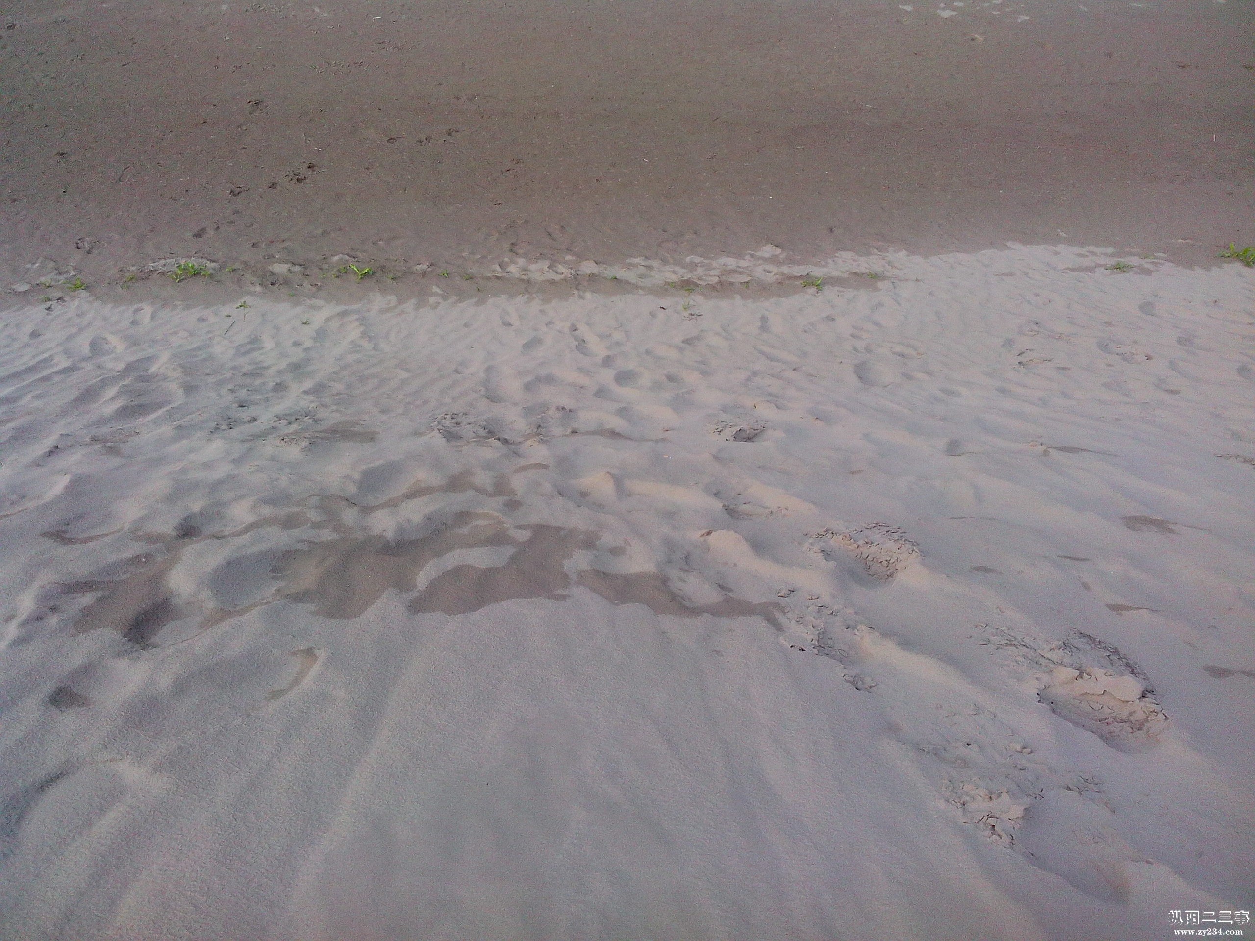 IMG_20110302_023814.jpg