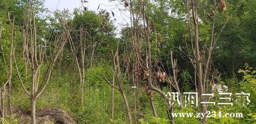 20180514_074712.jpg