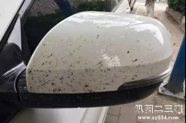 微信图片_20180523162030.jpg