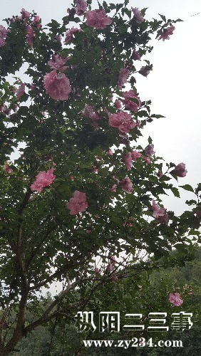 20180605_100113.jpg
