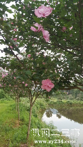 20180605_100107.jpg