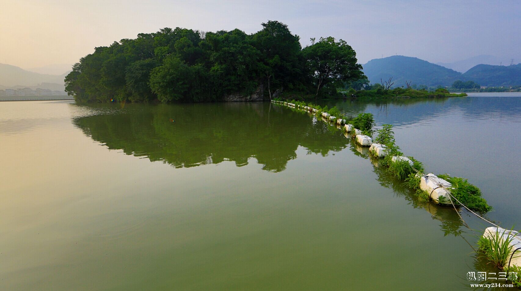 绿树成映.jpg
