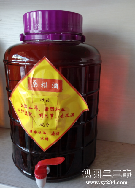 桑葚酒.png