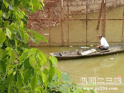 IMG_20180701_101522.jpg