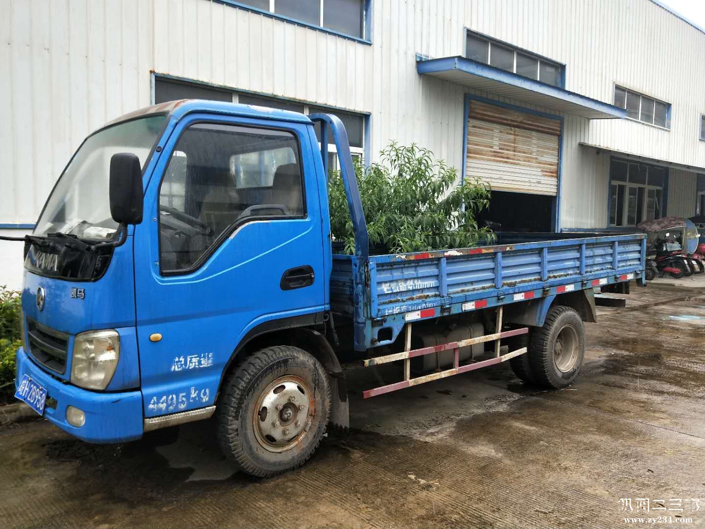 微信图片_20180825150336.jpg