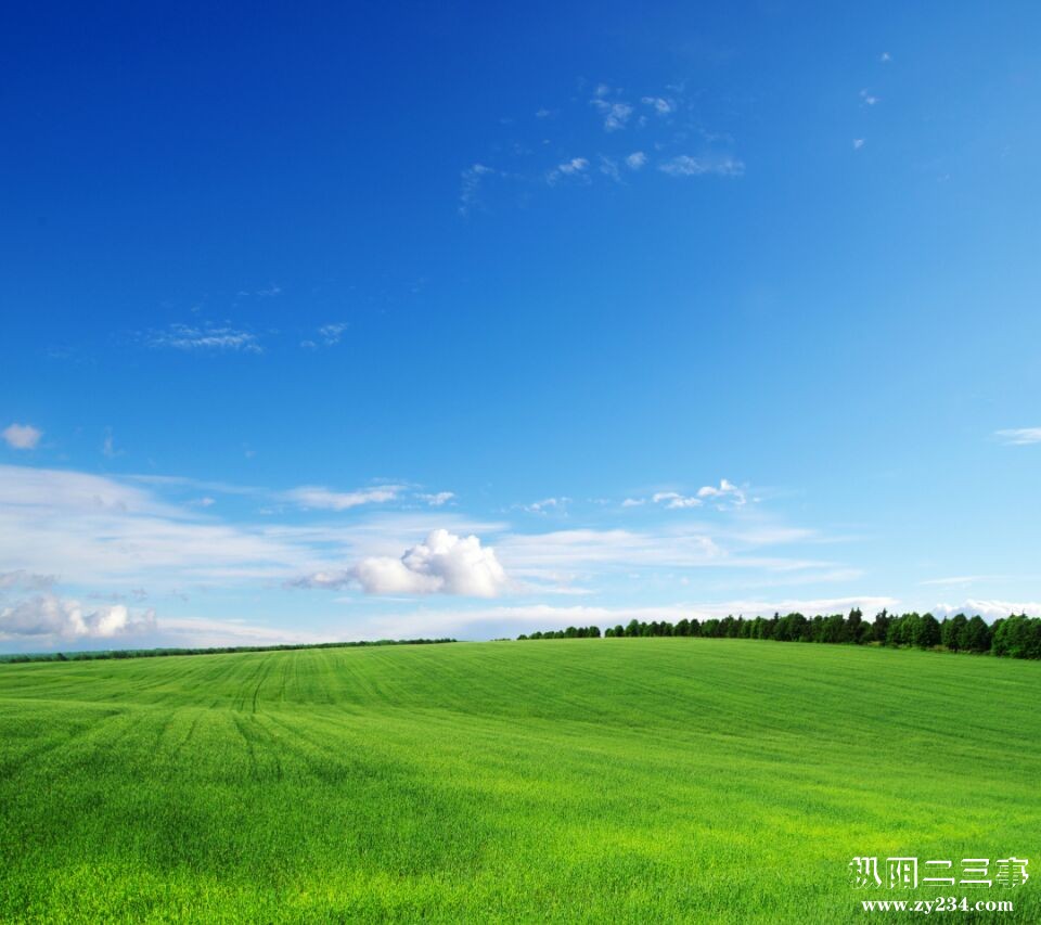 美丽大自然10.jpg