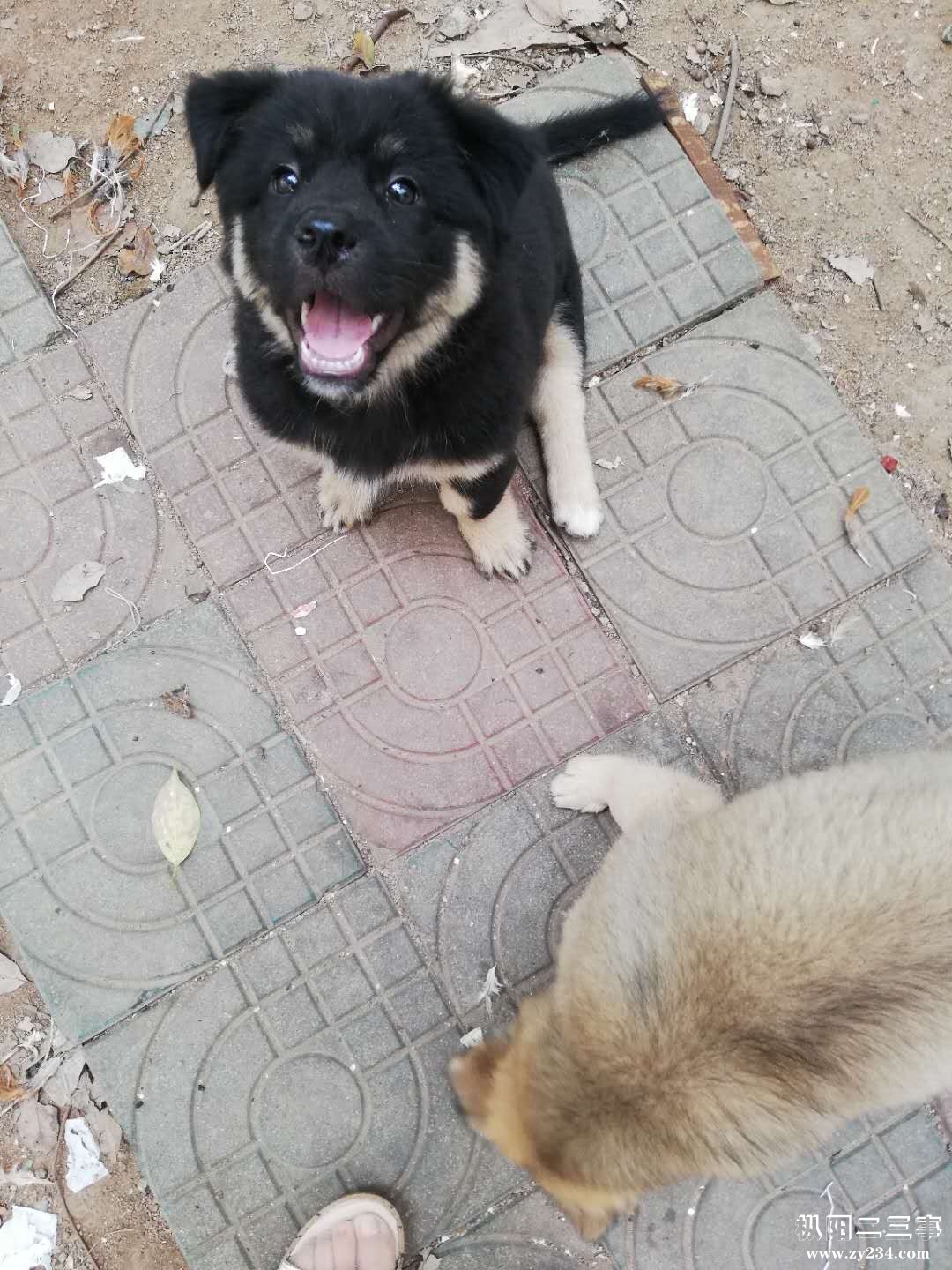 微信图片_20180913135022.jpg