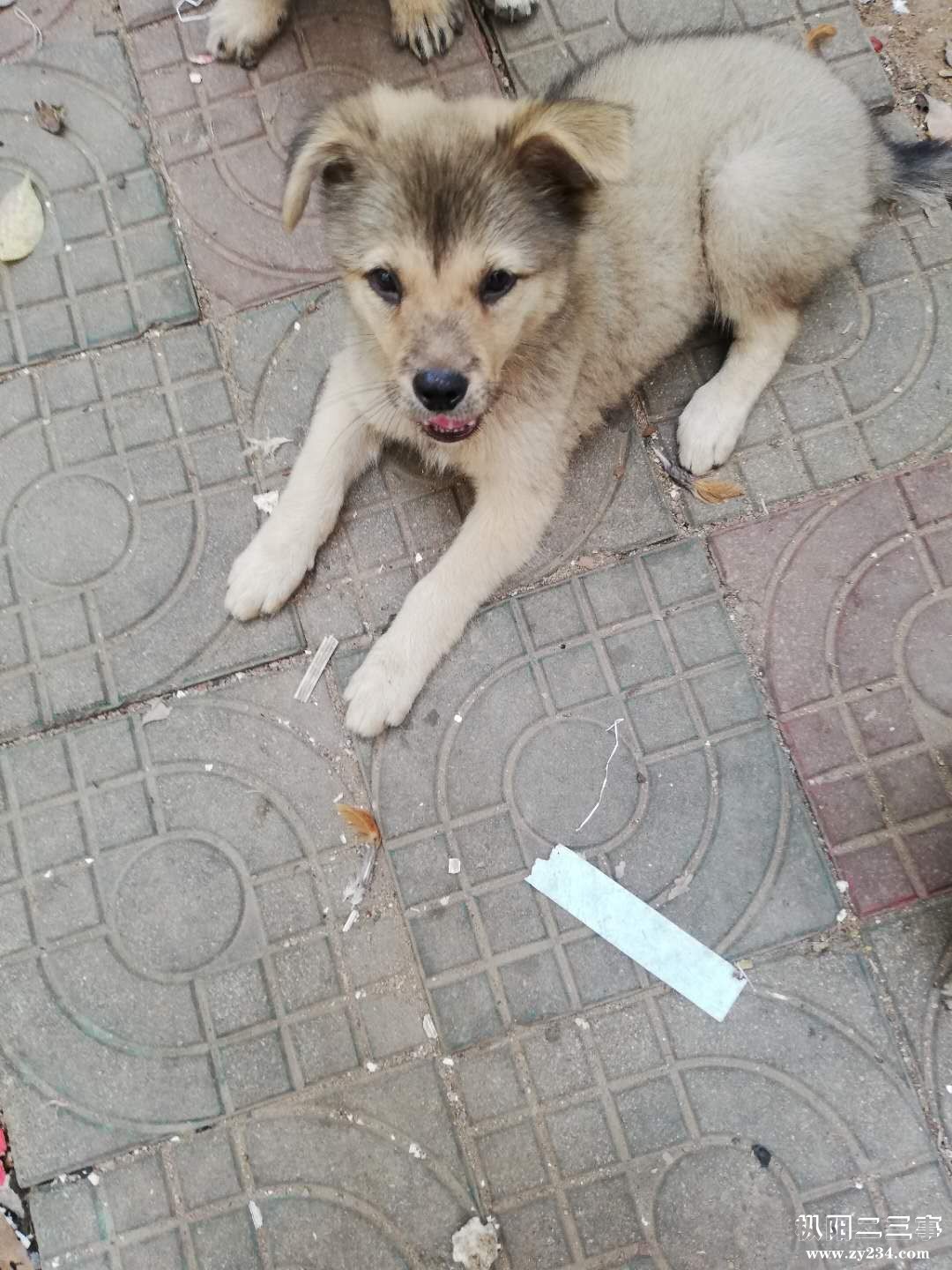 微信图片_20180913135044.jpg