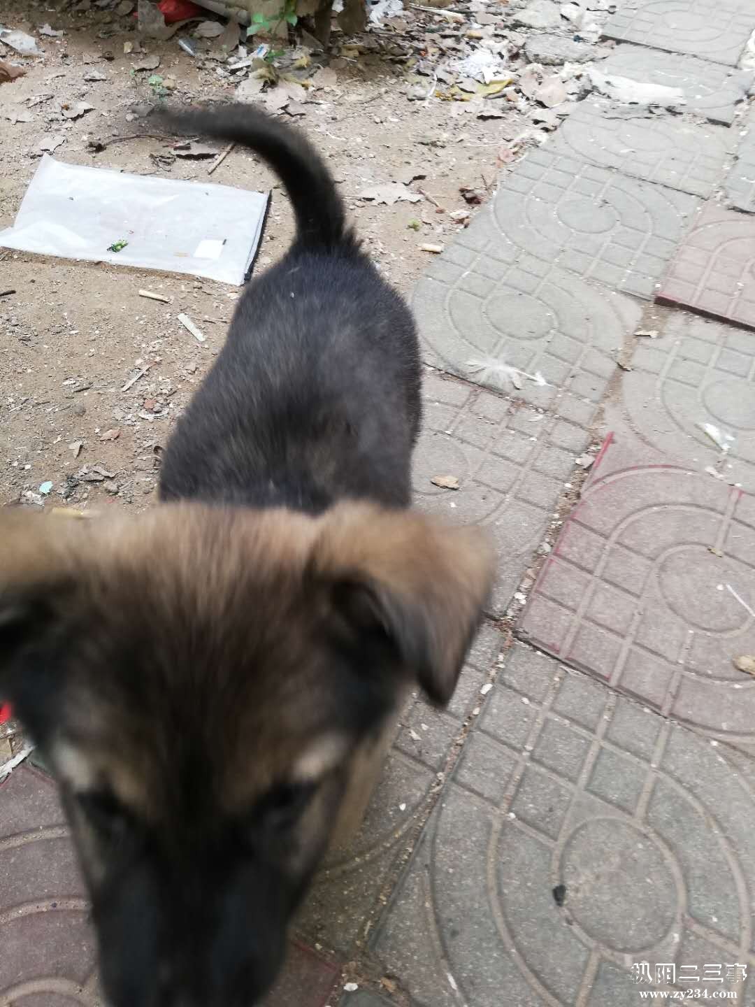 微信图片_20180913135139.jpg