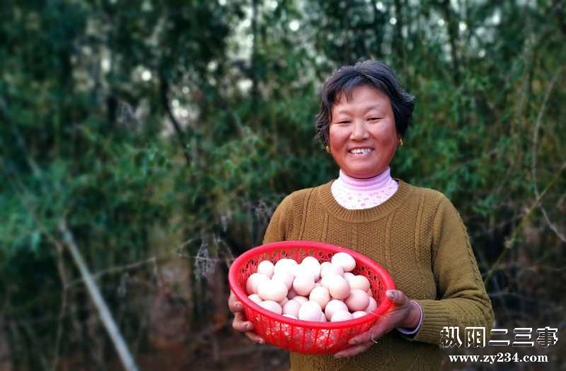 微信图片_20190208225043.jpg