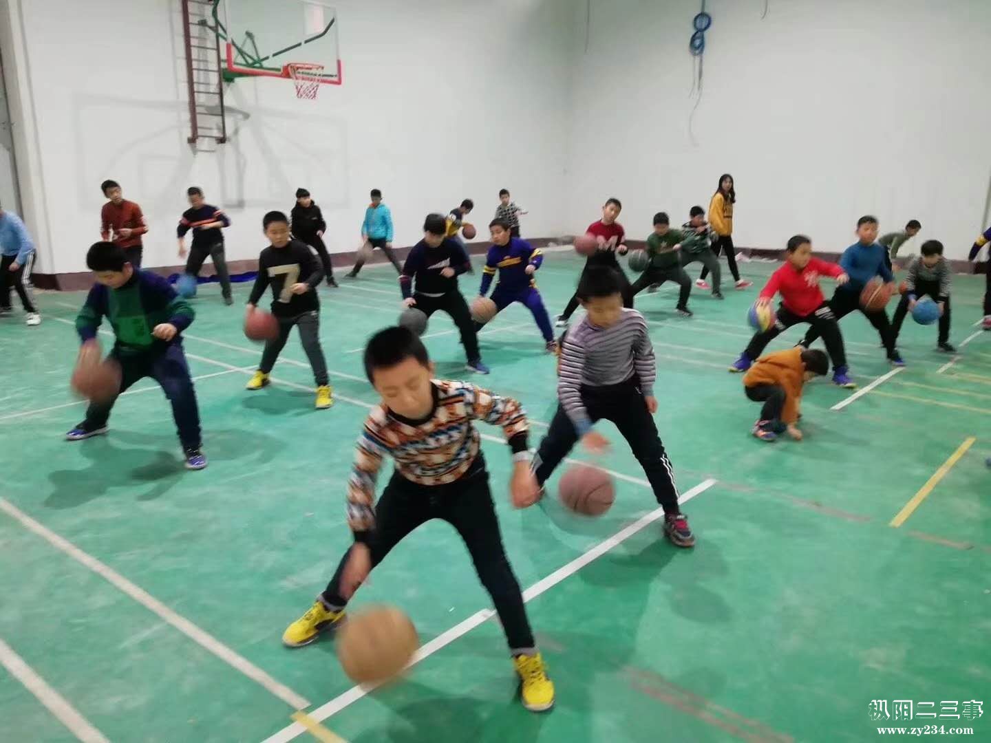 微信图片_20190221120612.jpg